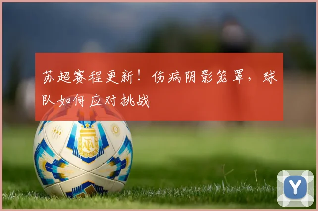 苏超赛程更新!伤病阴影笼罩,球队如何应对挑战
