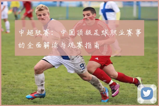 中超联赛:中国顶级足球职业赛事的全面解读与观赛指南